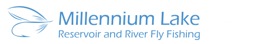 Millennium Lake